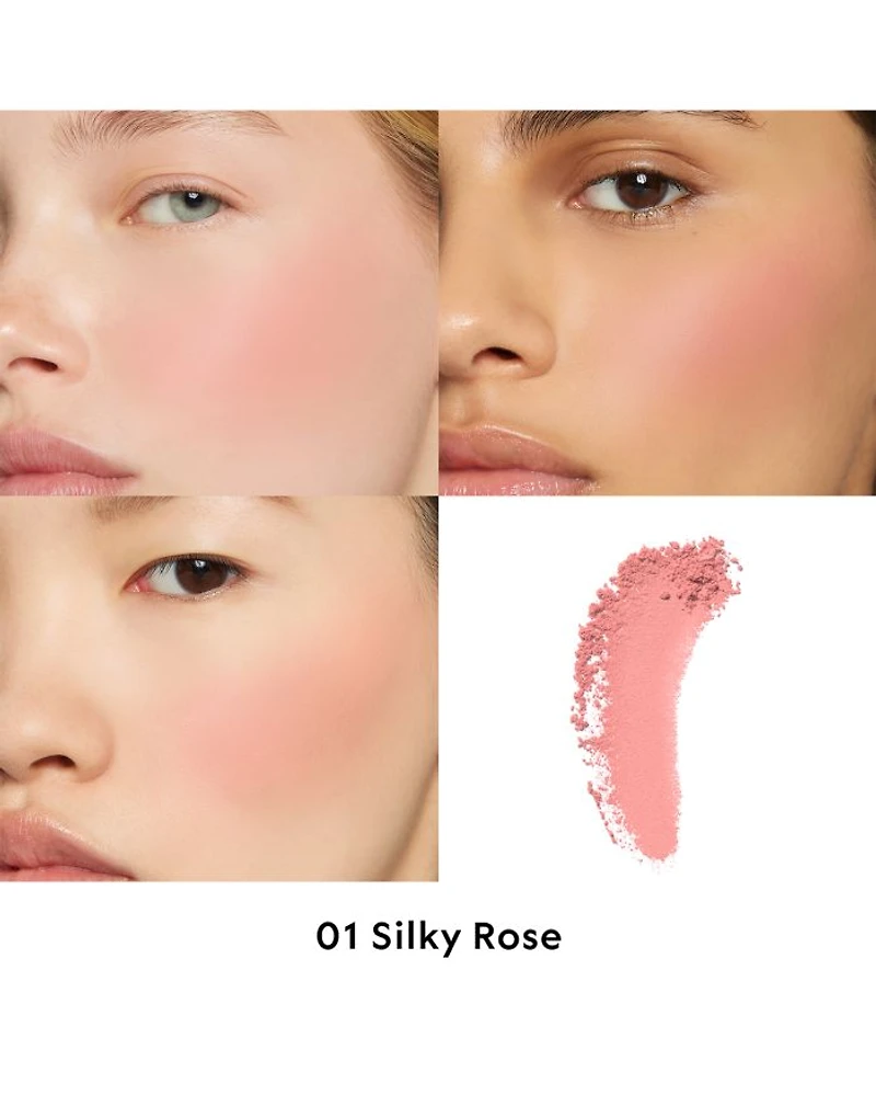 Blush de Beauté Luminous Matte Powder