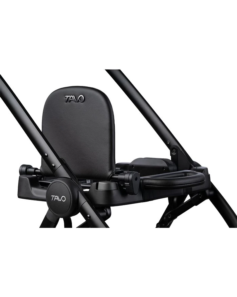 Dupree II Pet Travel System