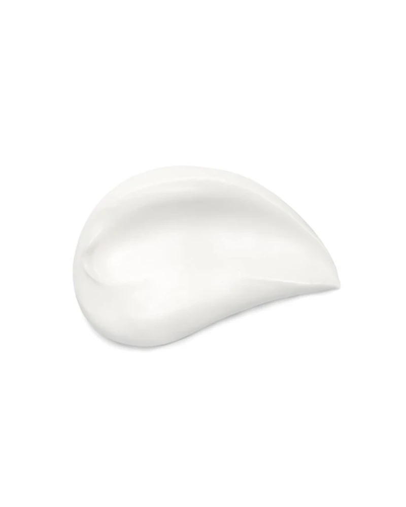 La Potion Infinie Day & Night Silver Cream 2.46 oz.