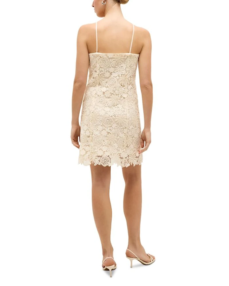 Noah Dress