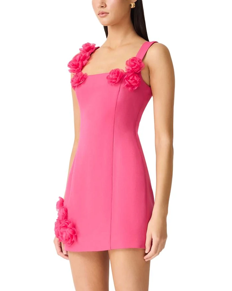Trompe Mini Dress