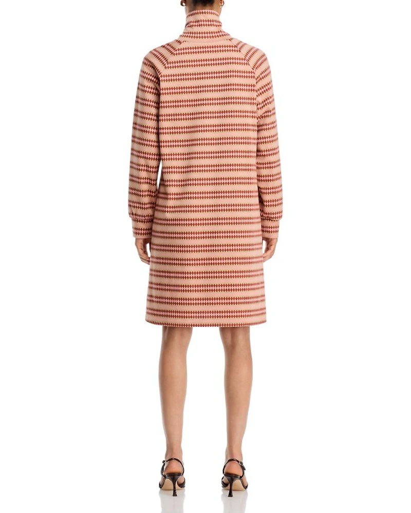 Alice Stripe Turtleneck Dress