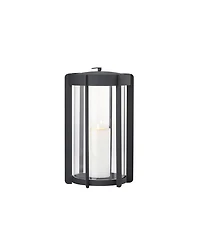 Firefly Lantern