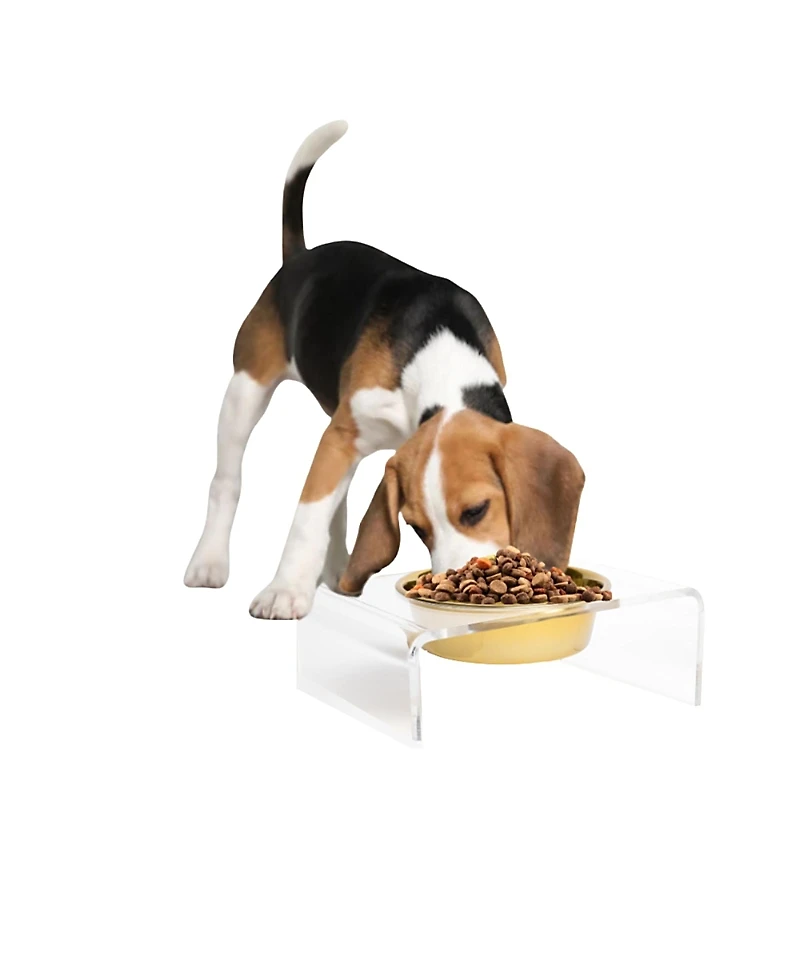 Clear Single Pet Bowl Feeder