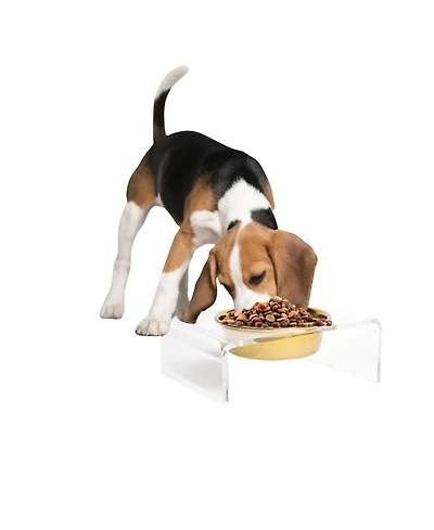 Clear Single Pet Bowl Feeder