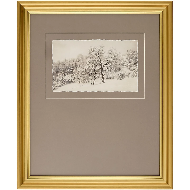 Surya Coconino Framed Art