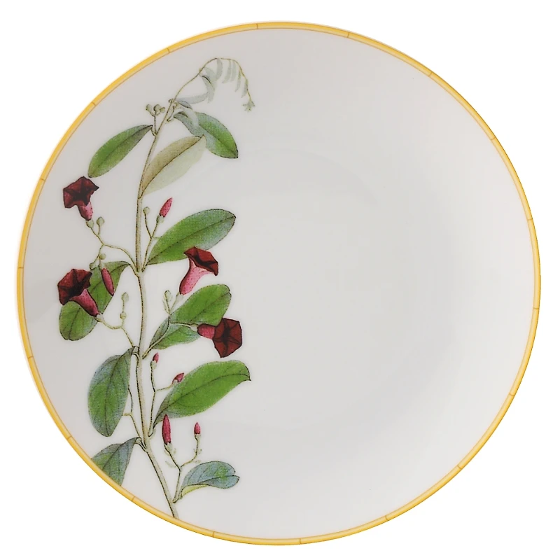 Bernardaud Jardin Indien Bread & Butter Plate