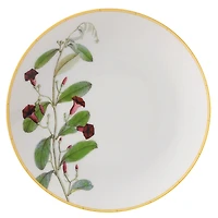 Bernardaud Jardin Indien Bread & Butter Plate