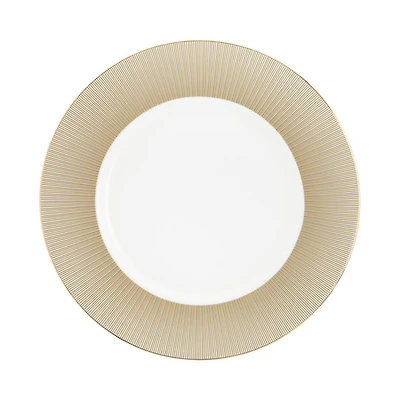 Luminous Charger Plate