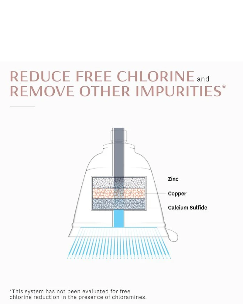 Source Shower Filter Showerhead