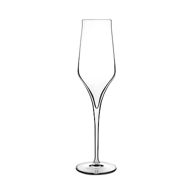 Supremo Champagne Glass