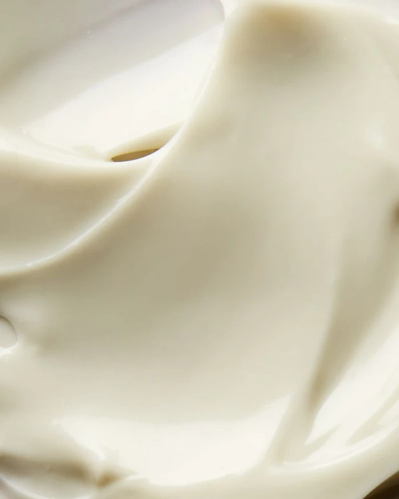 Superfood Day Cream 1.7 oz.