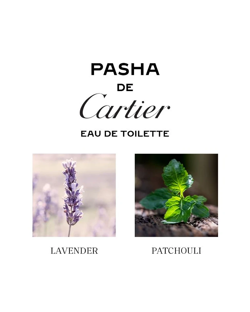 Pasha Eau de Toilette