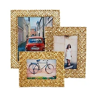 Palm Frame,  5" x 7"