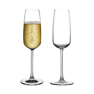 Nude Glass Mirage Champagne Glass, Set of 2