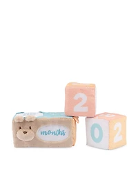 Baby GUND Milestones and Moments Soft Blocks, Plush Photo Prop Sensory Toy Blocks - Ages 0+