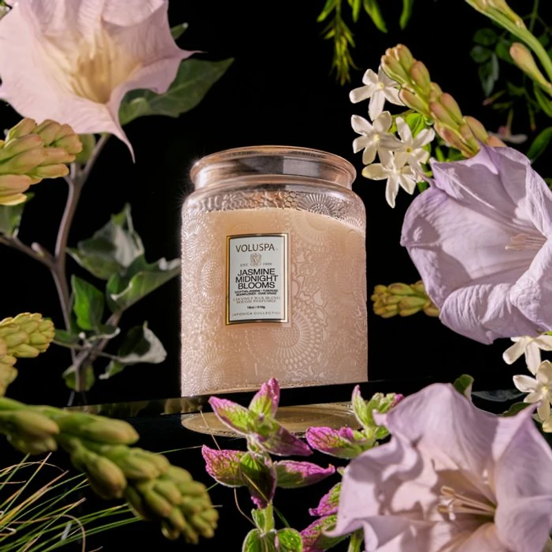 Jasmine Midnight Blooms Candle Collection