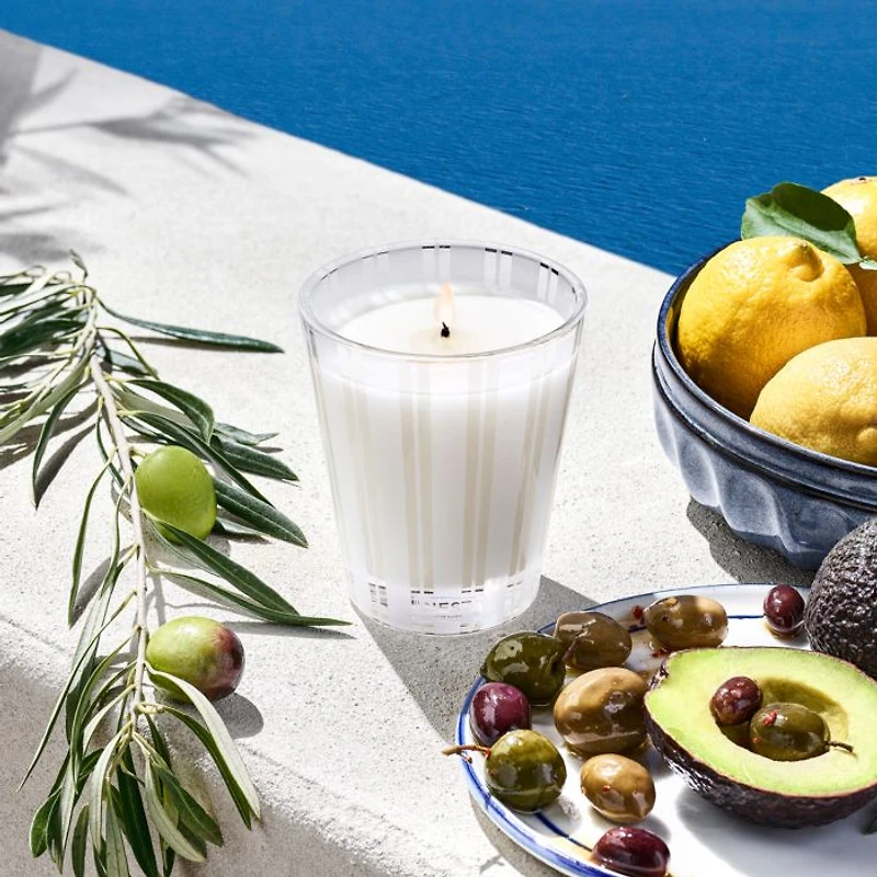 Santorini Olive & Citron Candle Collection