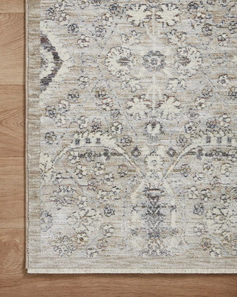 Zuma ZUM-07 Area Rug, 2'3" x 3'10"