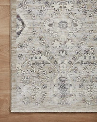 Zuma ZUM-07 Area Rug, 2'3" x 3'10"