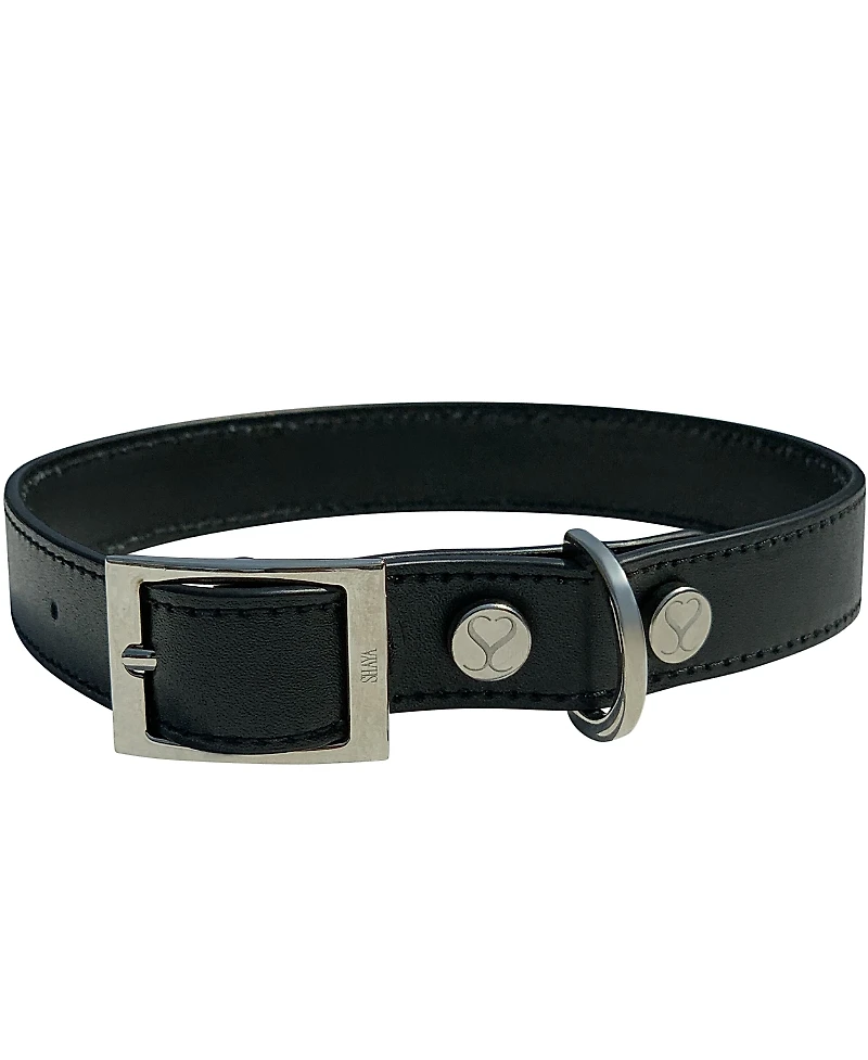 Shaya Pets Leather Adjustable & Water Resistant Small Dog Collar