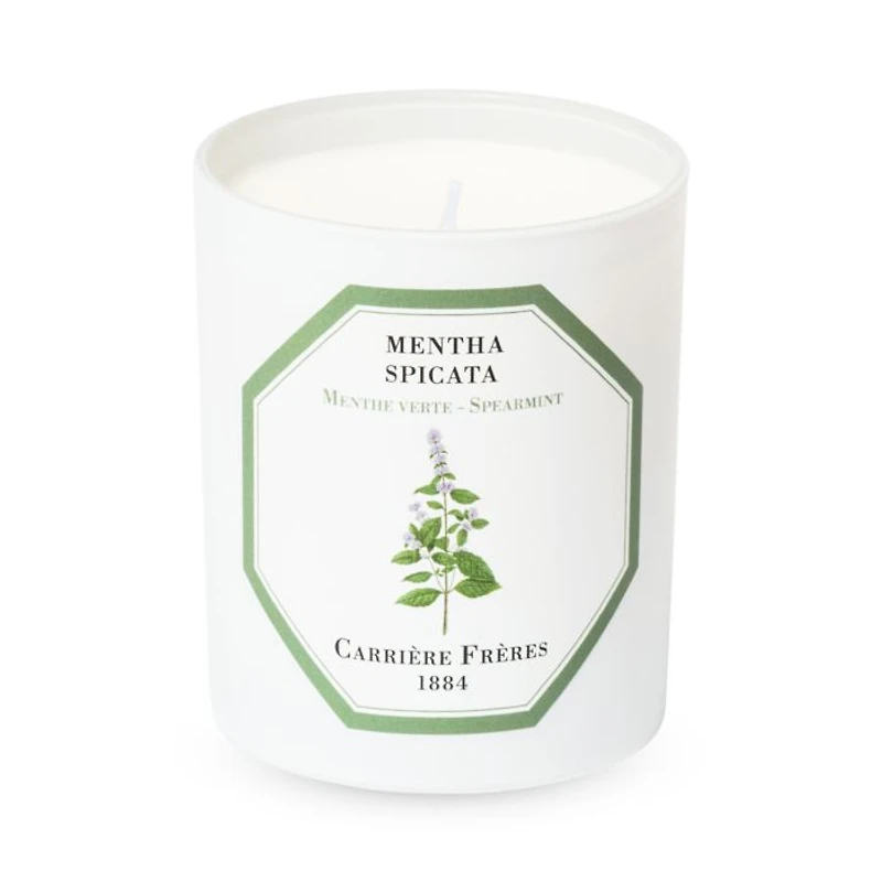 Spearmint Scented Candle, 6.5 oz.