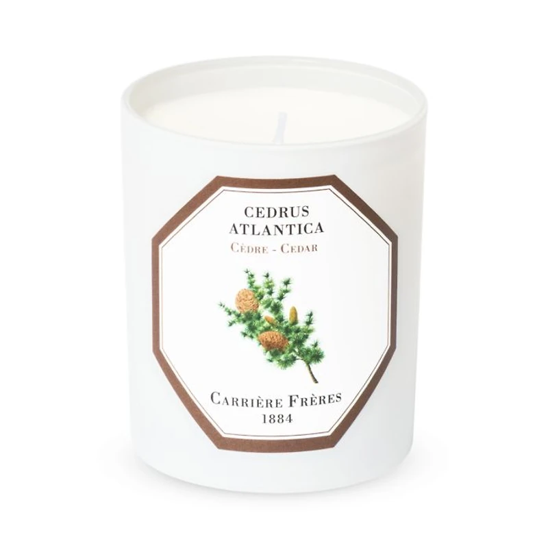 Cedar Scented Candle, 6.5 oz.