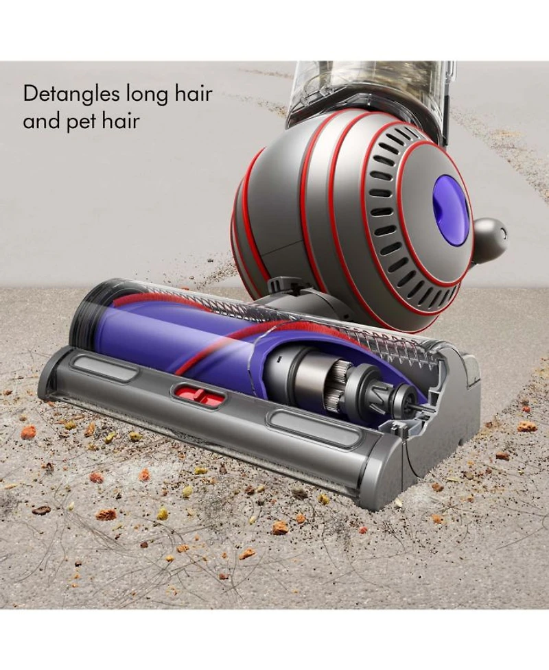 Ball Animal 3 Upright Vacuum