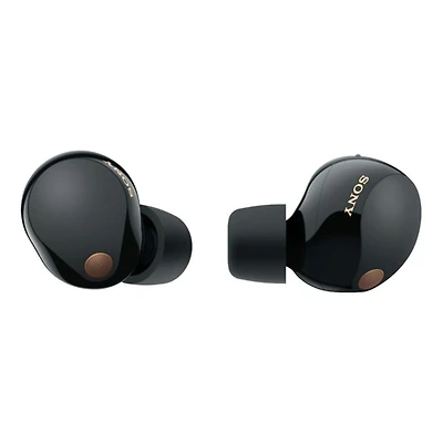 Truly Wireless Noise Canceling Earbuds