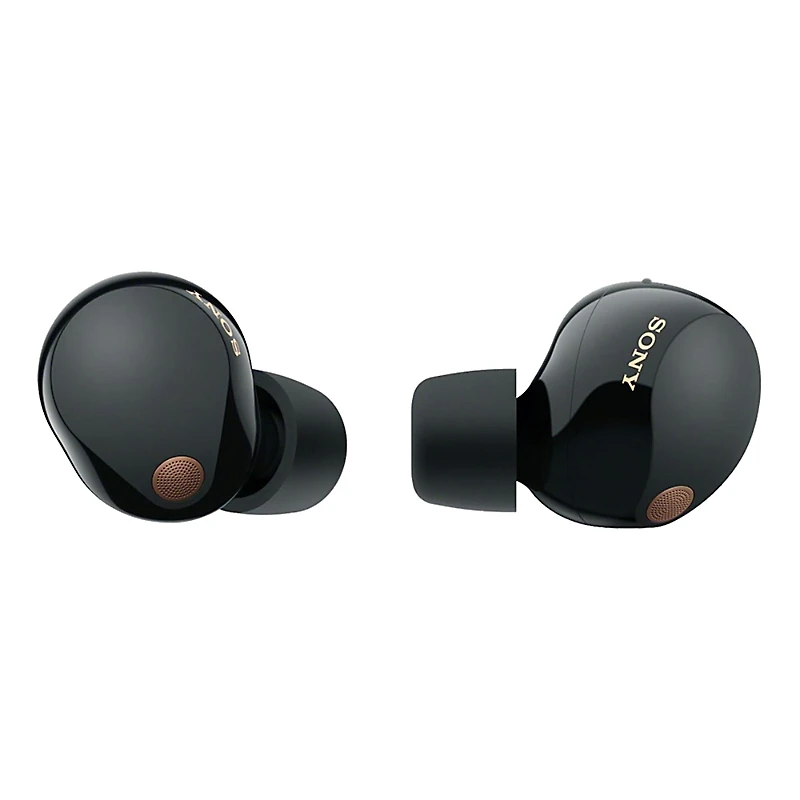 Sony Truly Wireless Noise Canceling Earbuds