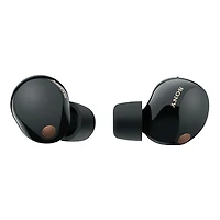 Sony Truly Wireless Noise Canceling Earbuds