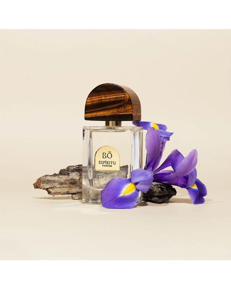 Tesoro Discovery Set, 1st Edition