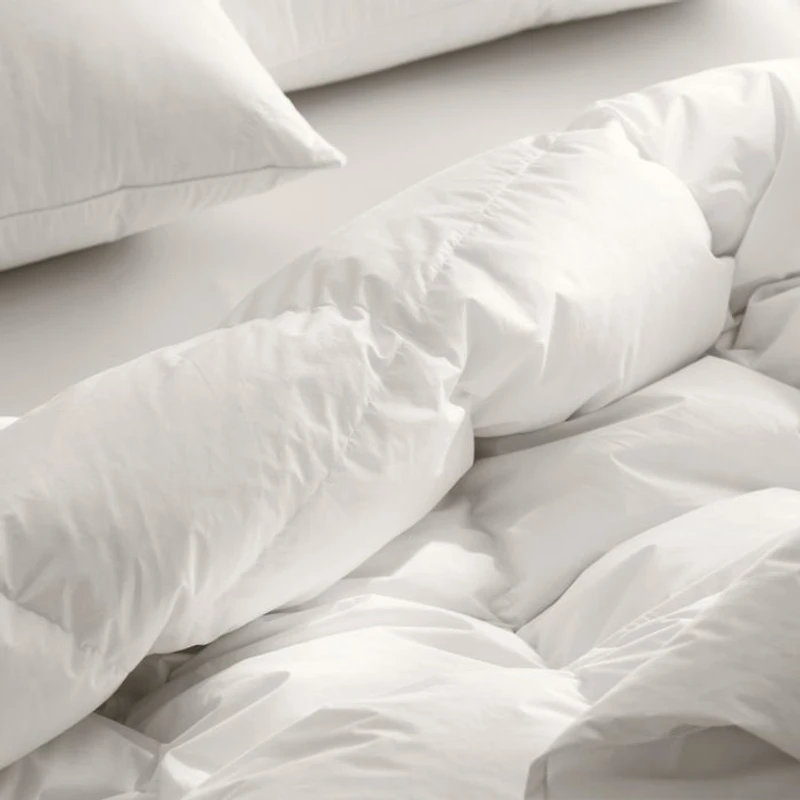Down Duvet Insert
