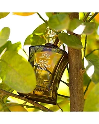 Sage & Citrus Oud Eau de Parfum 2.5 oz.