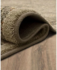 Karastan Euphoria Galway Area Rug, 8' x 11'