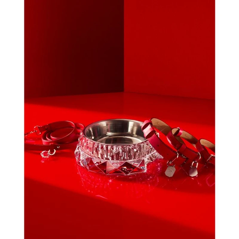 Louxar Red Allure Pet Leash