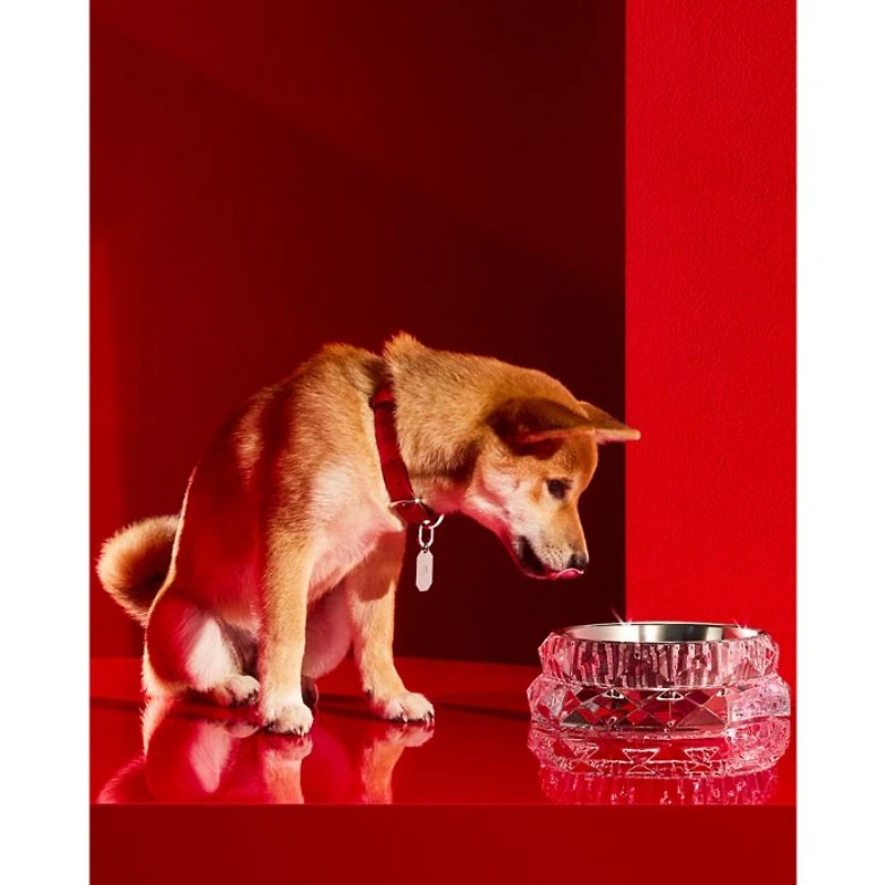 Louxor Large Pet Bowl