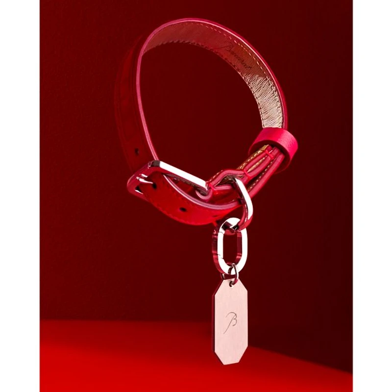Louxor Allure Pet Collar