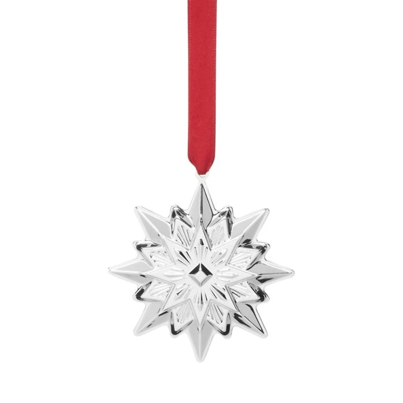 2024 8th Annual Star Ornament