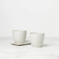 Set of 2 French Perle Herb Pots with Tray