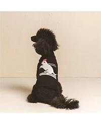 Skiing Dog Pet Sweater