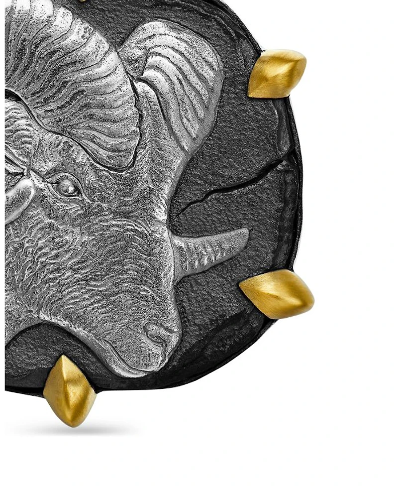 Sterling Silver & 18K Yellow Gold Zodiac Amulet Enhancer