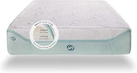 Baby Dri-Tec Performance Crib and Toddler Mattress