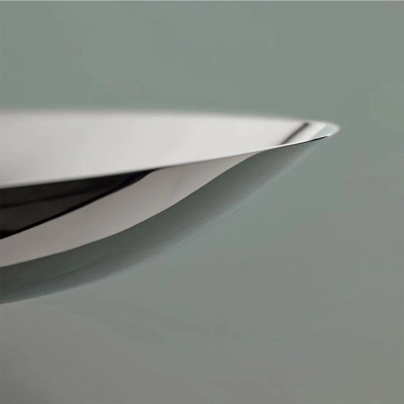 Dorotea Steel Dish