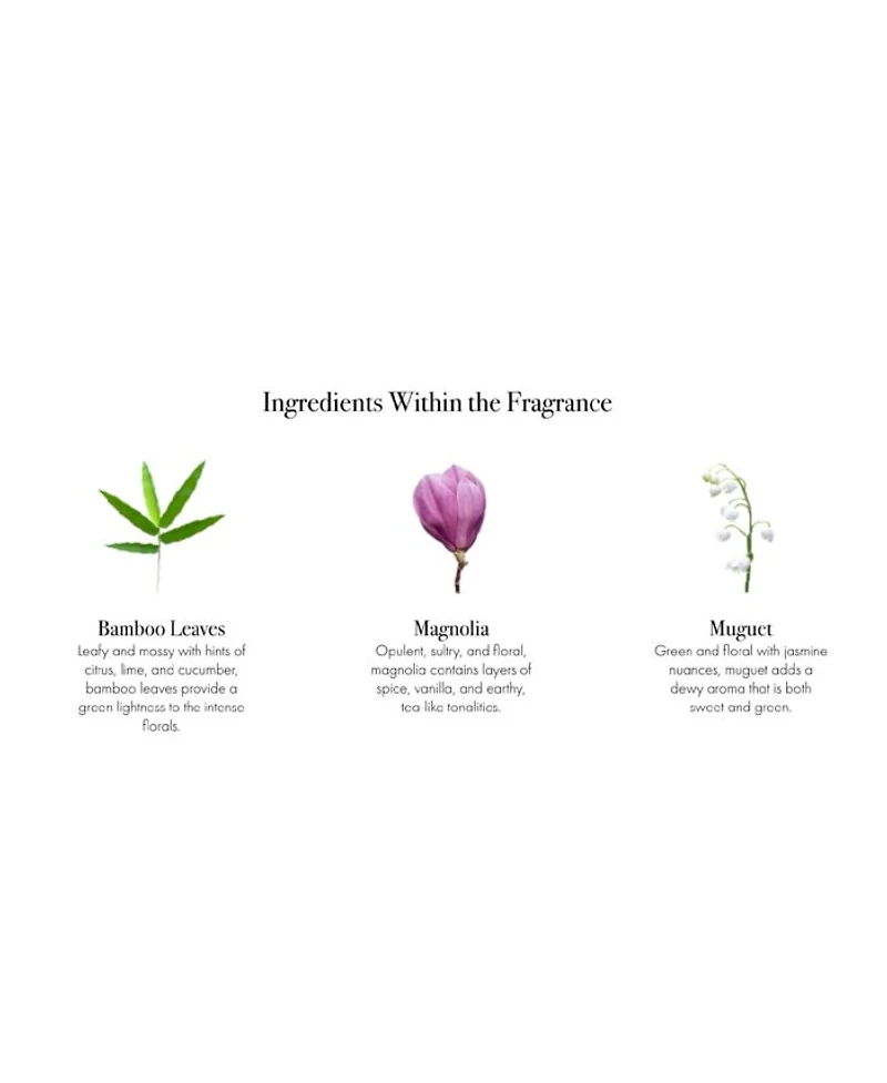 Star Magnolia Signature Reed Diffuser, 15 oz.
