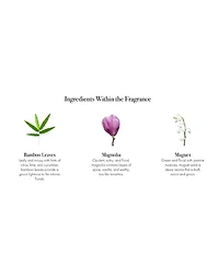Star Magnolia Signature Reed Diffuser, 15 oz.
