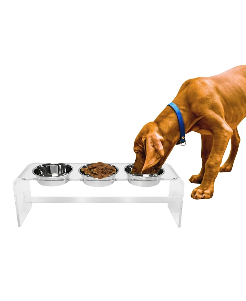 Hiddin Tall Clear Triple Dog Bowl Feeder with 2 Quart Silver Bowls