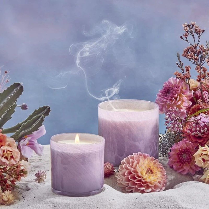 Midnight Cactus Classic Candle, 6.5 oz.