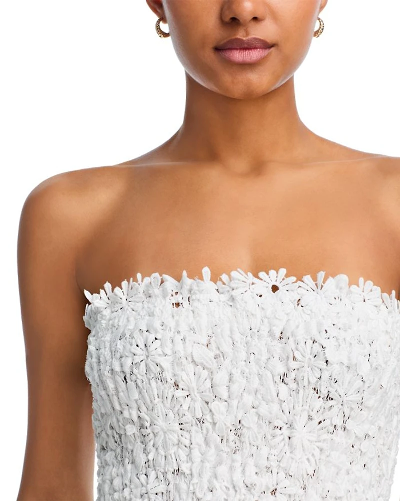 Tiffany Lace Mini Dress