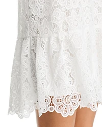 Lace Drop Waist Mini Dress - Exclusive